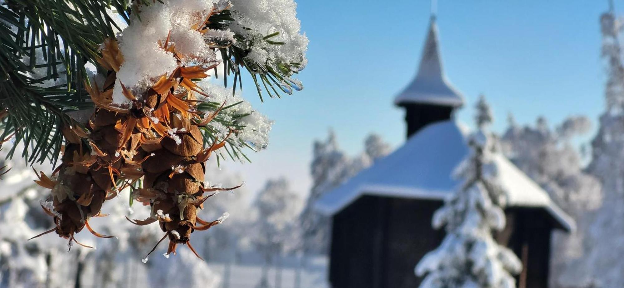 Vila Kollar Vysoké Tatry 외부 사진
