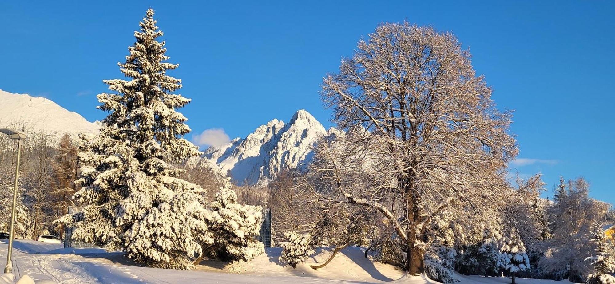 Vila Kollar Vysoké Tatry 외부 사진