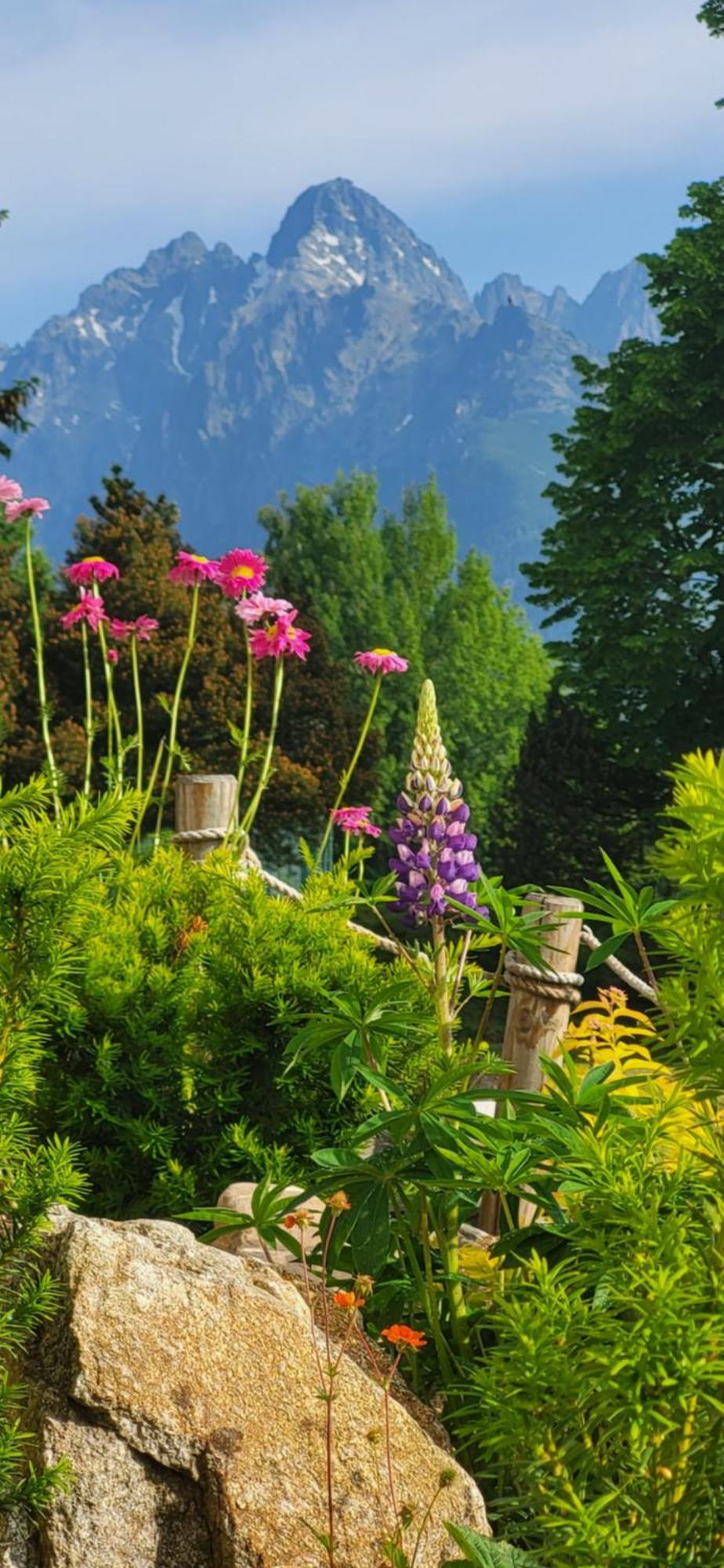 Vila Kollar Vysoké Tatry 객실 사진